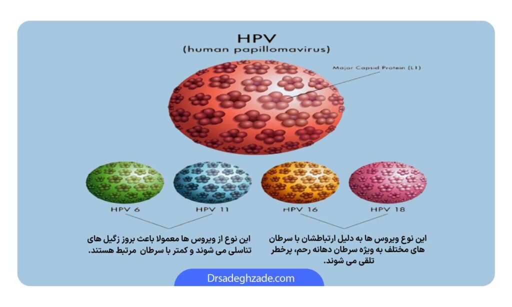 اینفوگرلفی انواع زگیل تناسلی