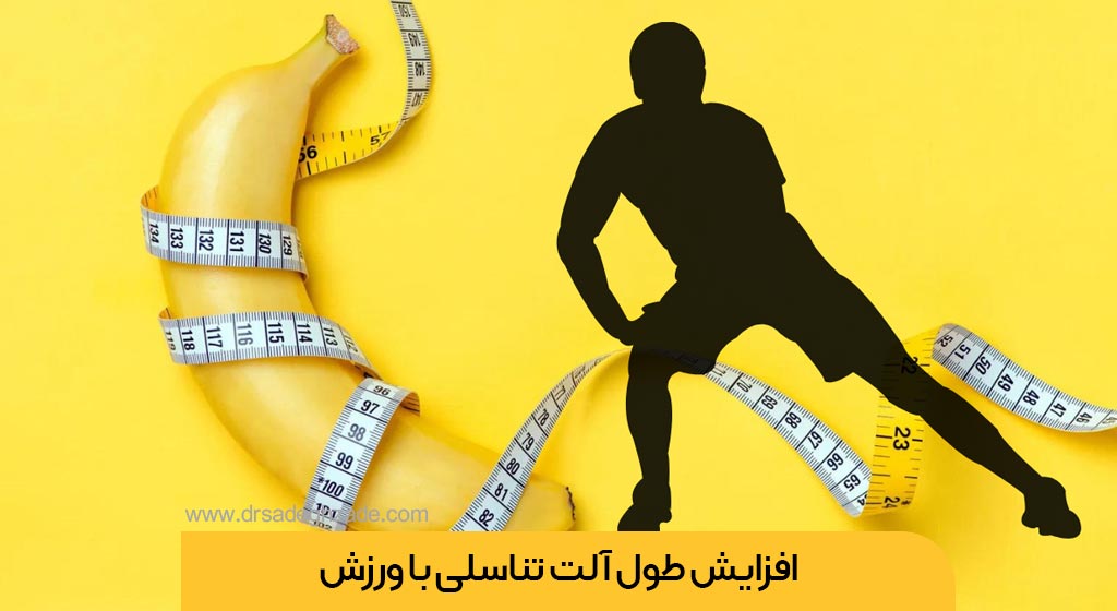 افزایش طول آلت تناسلی با ورزش