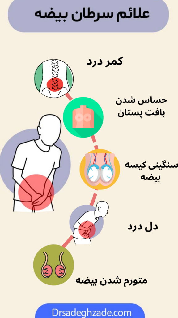 تصویر اینفوگرافیک از علائم سرطان بیضه 