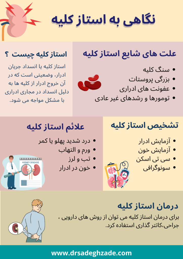 تصویر اینفوگرافیک از علائم ، تشخیص و درمان استاز کلیه 